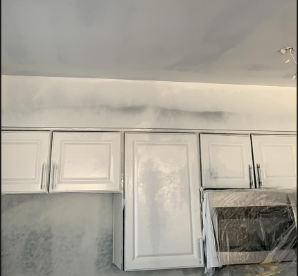 Painting Project