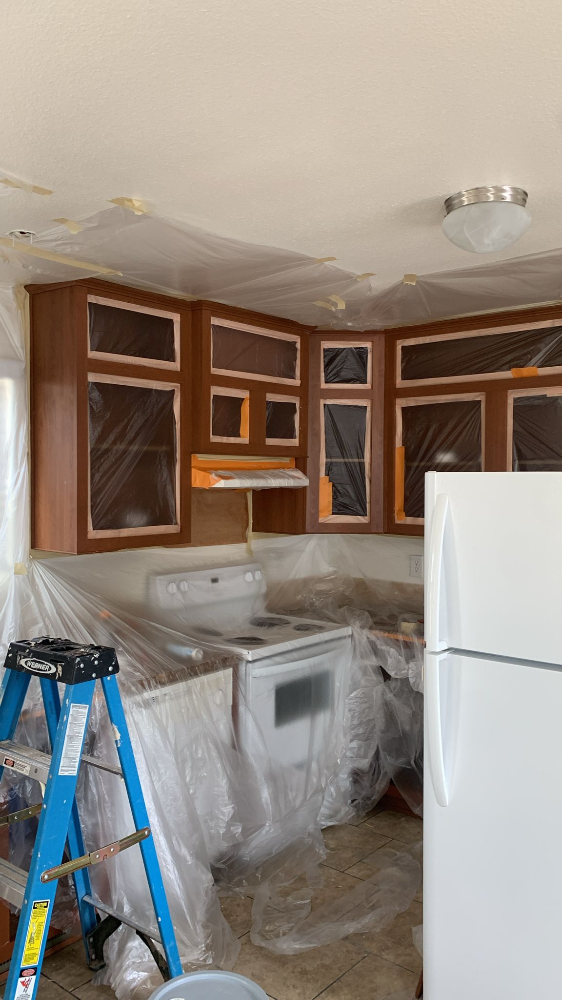 Painting Project